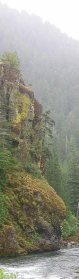 elevation160x560.jpg