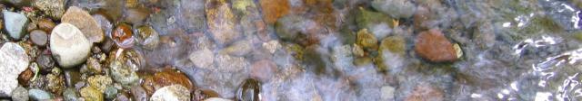 riverbottom_640x112.jpg